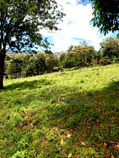 1/8 Acre Plot Matasia - Image 3