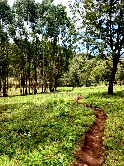 1/8 Acre Plot Matasia - Image 4