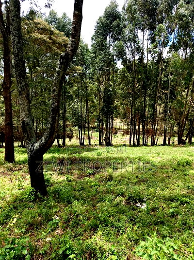 1/8 Acre Plot Matasia - Image 2