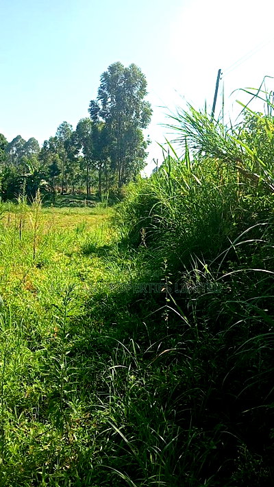 0.5 Acres for Sale in Kakamega - Image 4