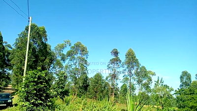 0.5 Acres for Sale in Kakamega - Image 3