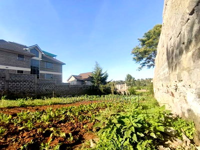 50*100 Residential Plot on Sale at Ruiru Ukombozi Estate at 5M - Image 5