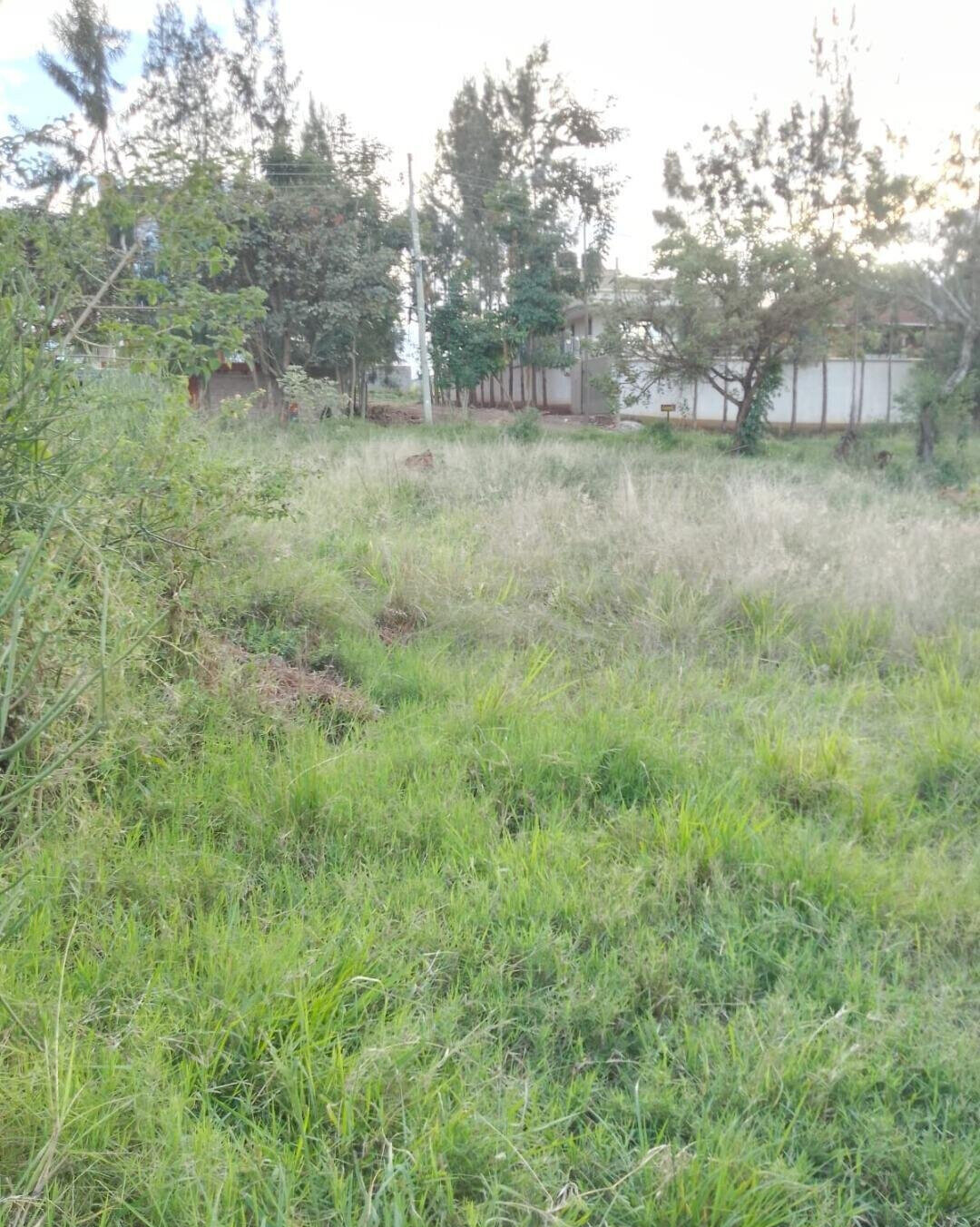 50x100 Plot in Membley for KSh 7M