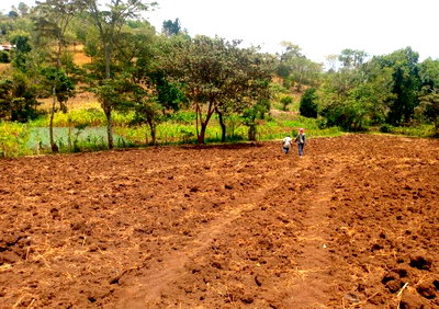 6.2-Acre Farm with Water Frontage