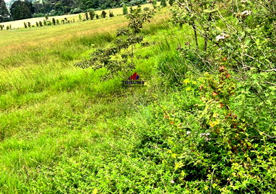 5-Acre Garden Land in Tigoni