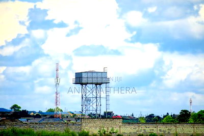 Plots for Sale in Kiambu County (1/8 1 /4 Acre) - Image 2