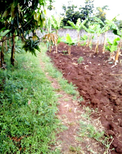 1/2 Acre Garden Plot with Parking - Thika