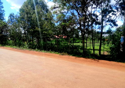Quarter Acre Plot with Garden