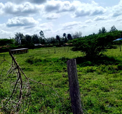 1/2 Acre Plot in Merisho