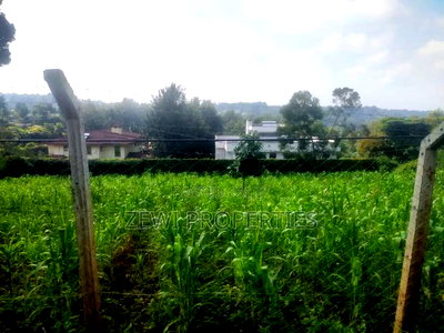 1/4 Acre Kerarapon - Image 6