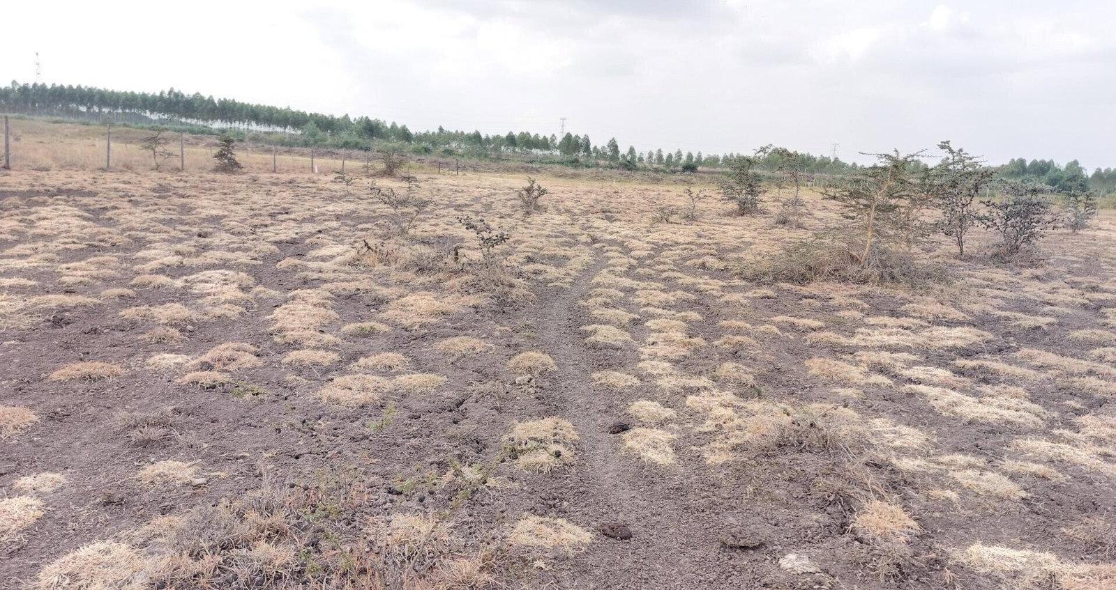 2.5-Acre Garden Plot Off Eastern Bypass