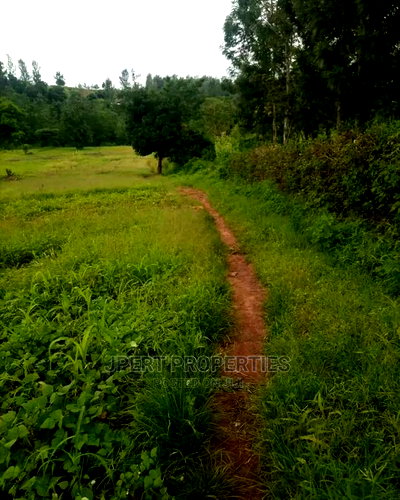 2 Acres for Sale - Image 2