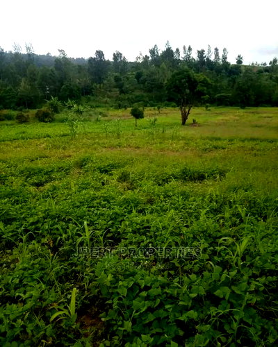 2 Acres for Sale - Image 1