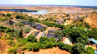 50 by 100 Plot in Kawangware Touching Tarmac Ready Title - Image 2