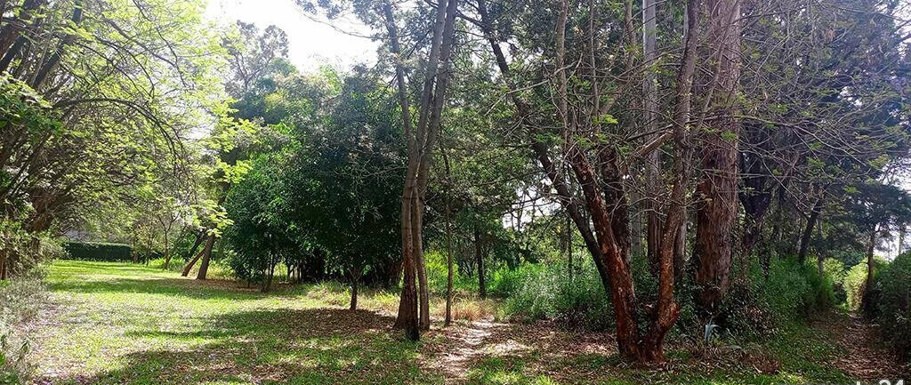 10-Acre Karen Plot at KSh 1B