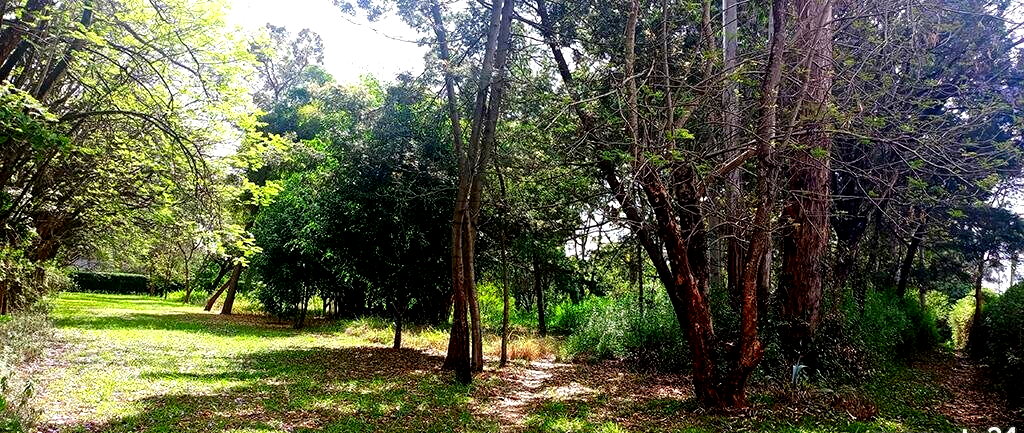 10-Acre Karen Plot at KSh 1B