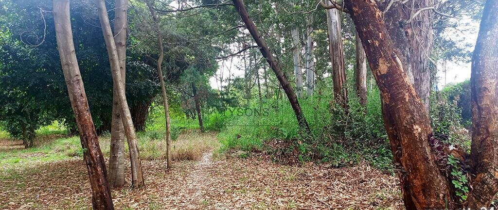 10-Acre Karen Plot at KSh 1B