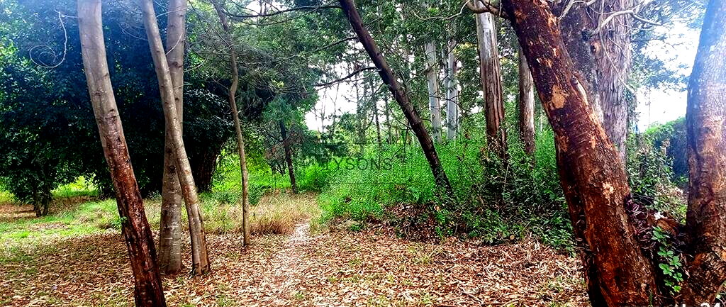 10-Acre Karen Plot at KSh 1B