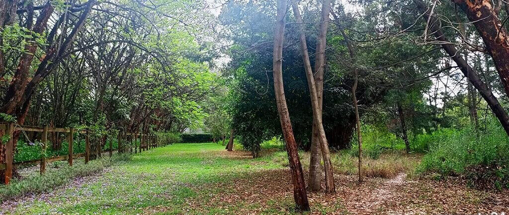 10-Acre Karen Plot at KSh 1B