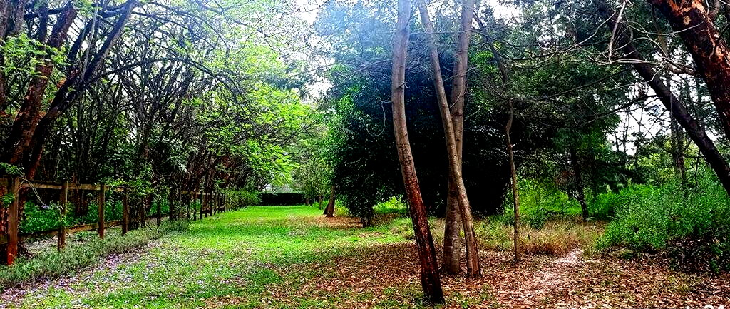 10-Acre Karen Plot at KSh 1B