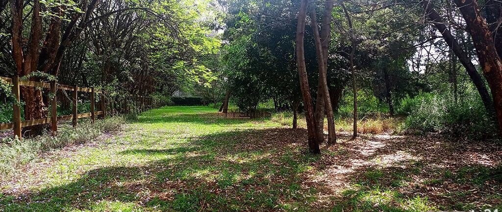 10-Acre Karen Plot at KSh 1B