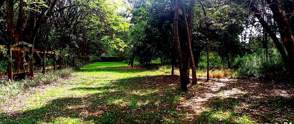 10-Acre Karen Plot at KSh 1B