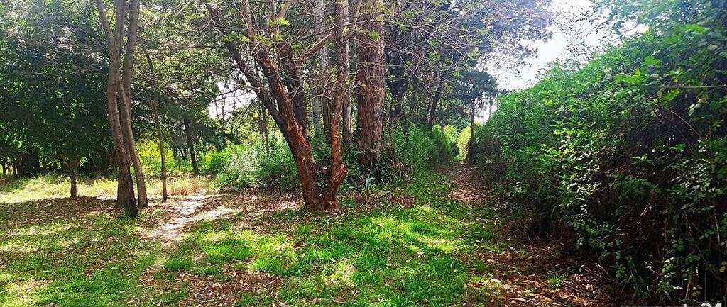 10-Acre Karen Plot at KSh 1B