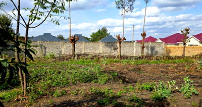Half Acre Garden Plot at KSh 12M