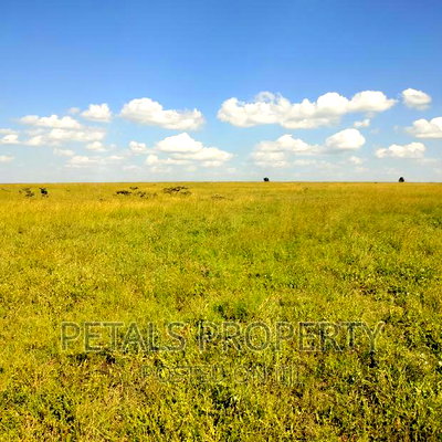 80 Acres for Sale in Kajiado - Image 2