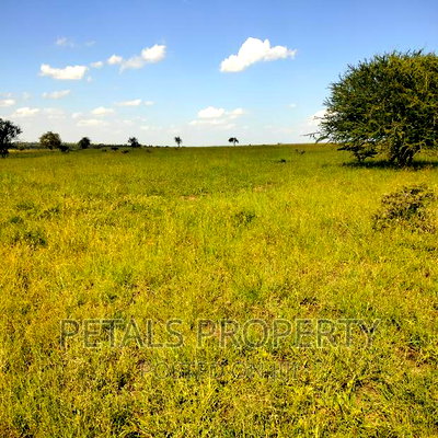 80 Acres for Sale in Kajiado - Image 5