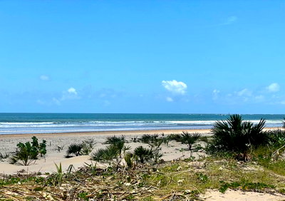 3.5-Acre Beachfront Land in Malindi
