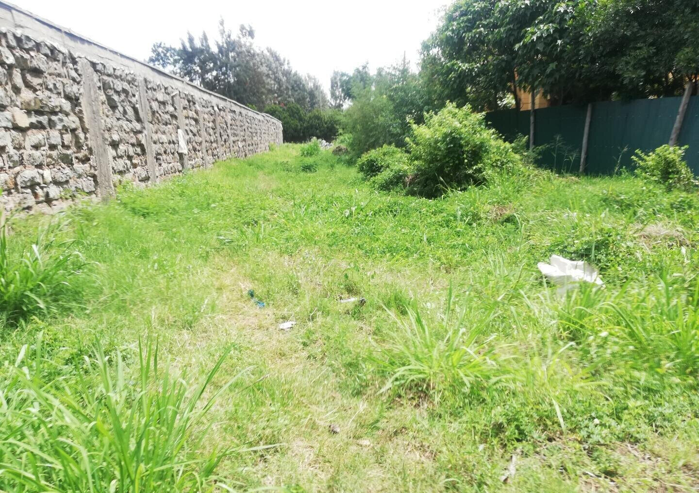 Half Acre Garden Estate Plot