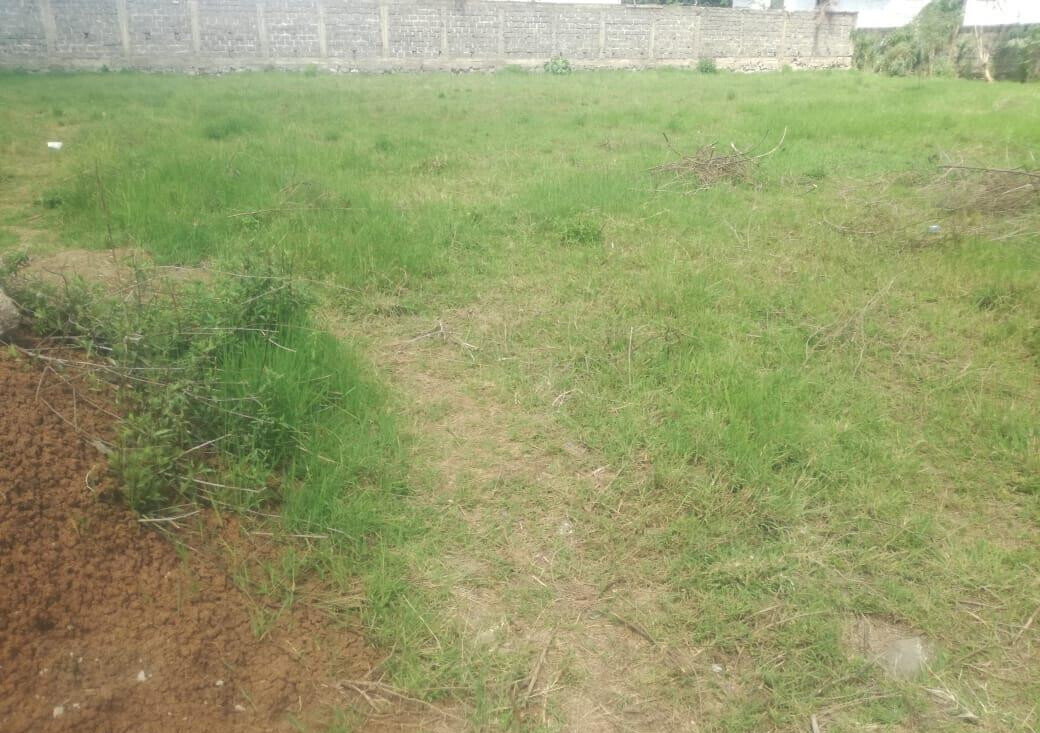 Half Acre Garden Estate Plot