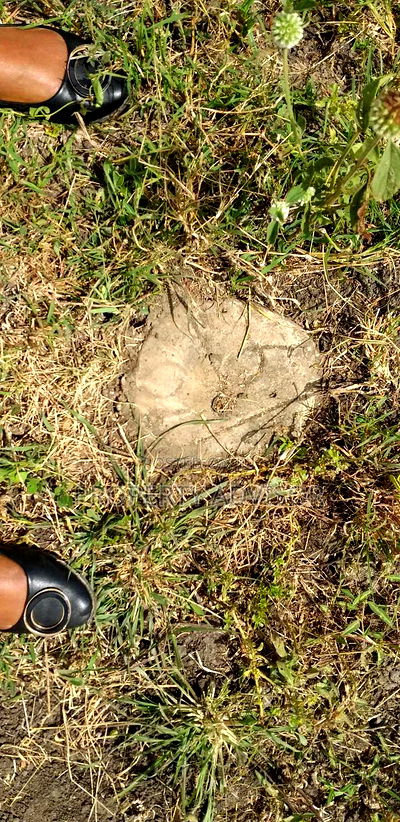 Joska 6b Plot for Sale Kagundo Road - Image 2