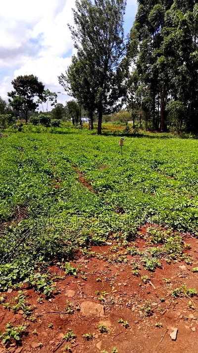 Croton Ridge, 50x100 Plots. - Image 2