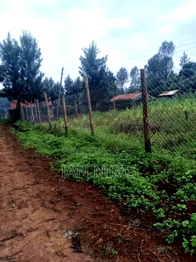 0.17 Acre Plot , Banana Near Homex, - Image 10