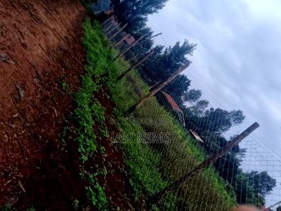 0.17 Acre Plot , Banana Near Homex, - Image 7