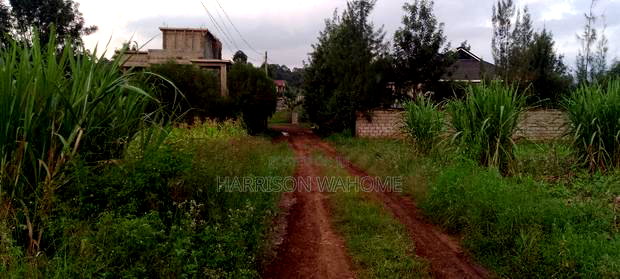 50*100 Plot for Sale in Ngong Kibiko.