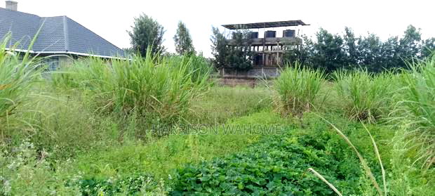 50*100 Plot for Sale in Ngong Kibiko.
