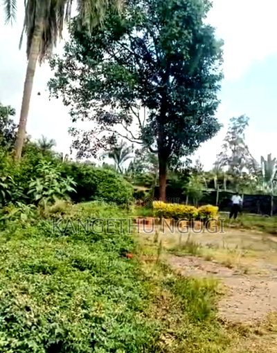 1.5acres Parcel of Land Ridgeways - Image 4