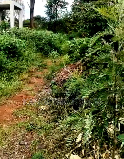 1.5acres Parcel of Land Ridgeways - Image 5