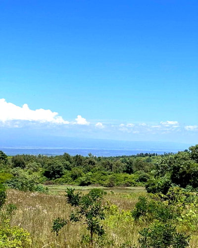 400-Acre Garden Estate for Sale