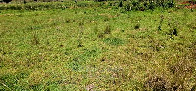 Elgonview 1/2 Acre Plot for Sale in Eldoret - Image 2