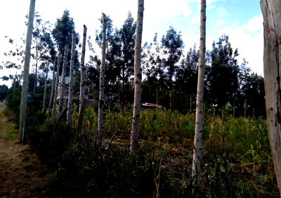 Garden Plot with Parking at KSh 8.5M