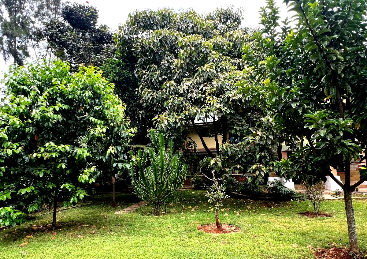 5-Ensuite Townhouse with Guest House & Jacuzzi – Hardy, Karen
