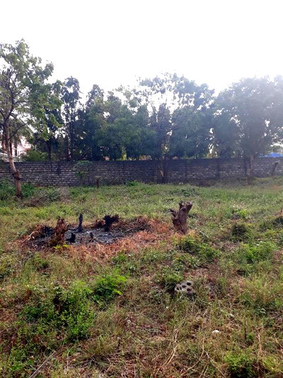 For Sale Half Acre Plots Nyali - Image 1