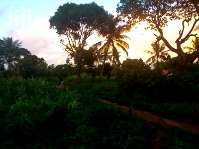 For Sale Half Acre Plots Nyali - Image 4