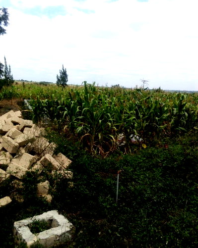 Half Acre Plot Near Ereteti School