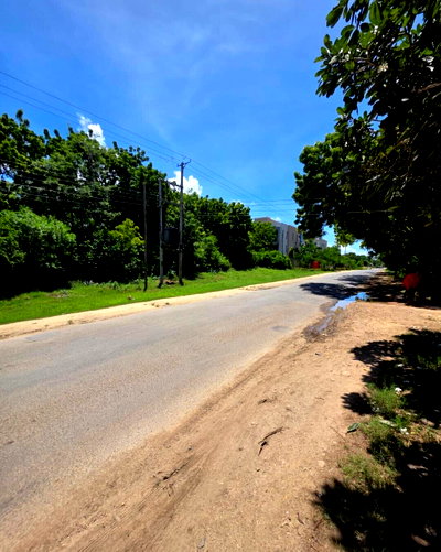 4-Acre Pet Friendly Plot in Diani