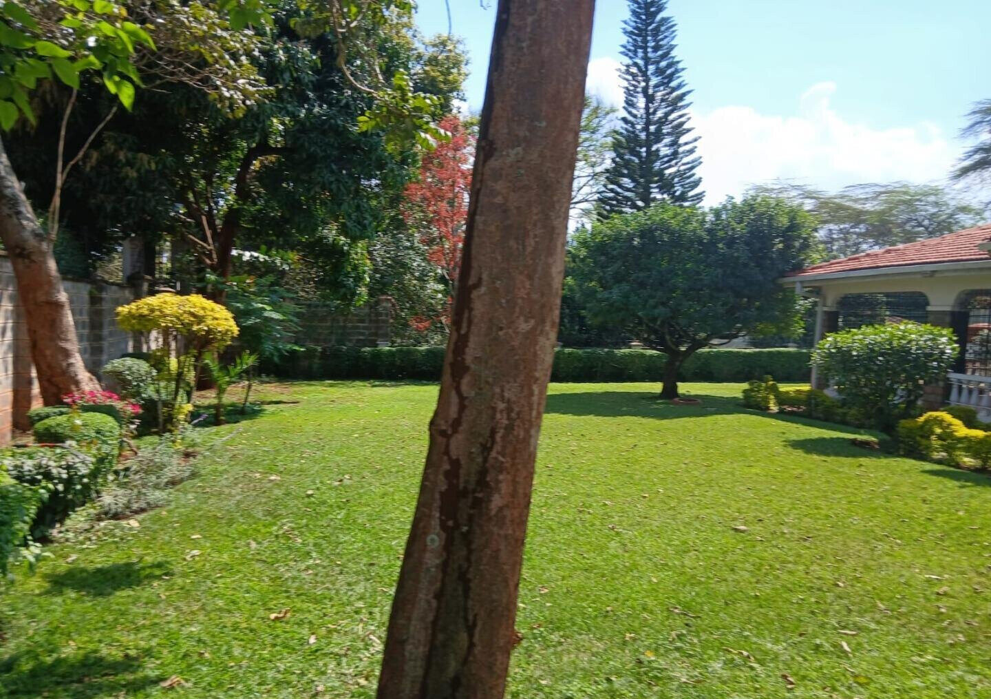 50x100 Garden Home at KSh 350K